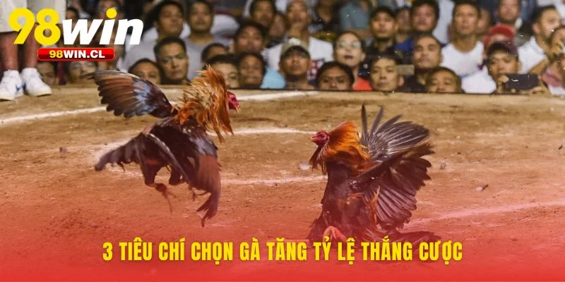 Ba yếu tố then chốt nhận diện chiến kê bách thắng
